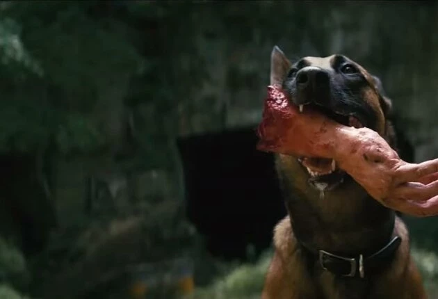 Картинка из 1 сезона сериала Фоллаут