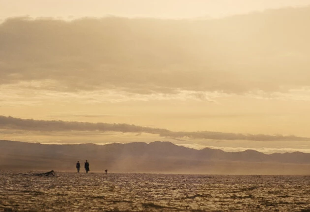 Картинка из 2 сезона сериала Фоллаут